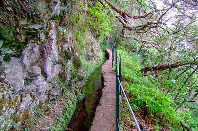 Levada do Caldeirão Verde PR 9 levadas da ilha da Madeira