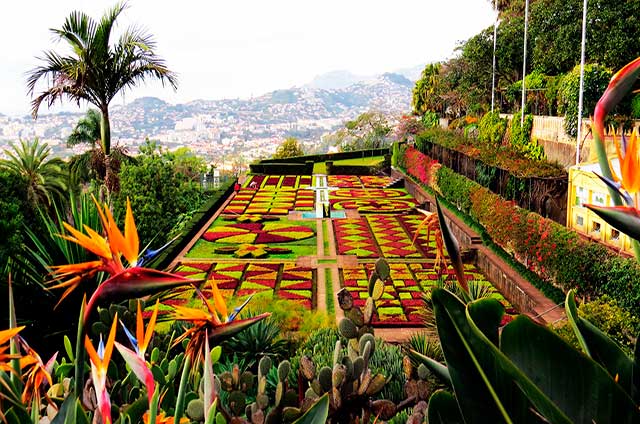 Jardim Botânico Roteiro 5 dias na Ilha da Madeira