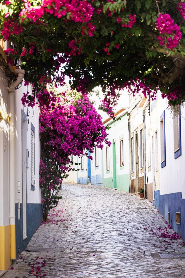 Hidden Gems em Ferragudo