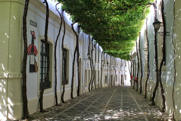 Calle Ciegos Visitar Jerez de la Frontera