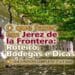 O que fazer em Jerez de la Frontera: Roteiro, Bodegas e Dicas