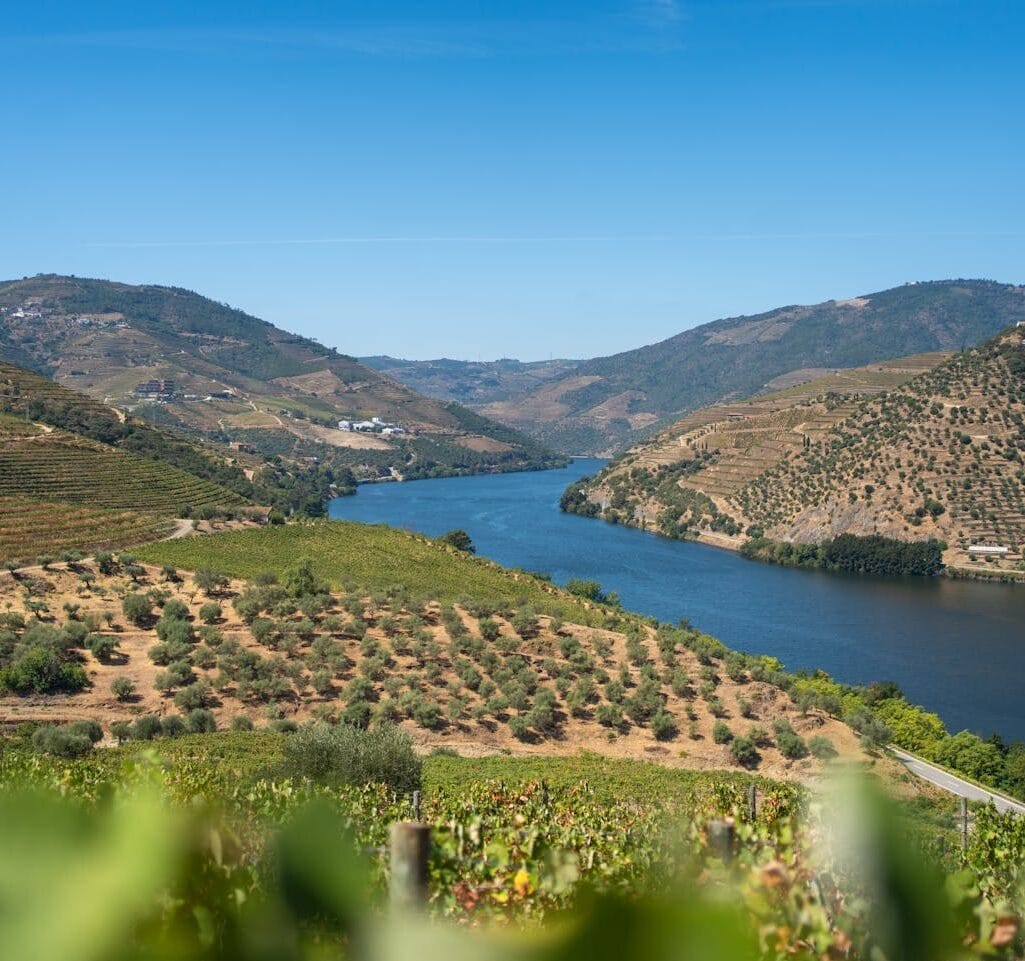 Rio Douro