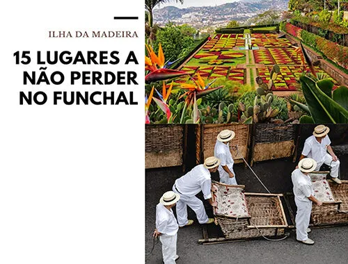 15 Lugares A Nao Perder No Funchal 3