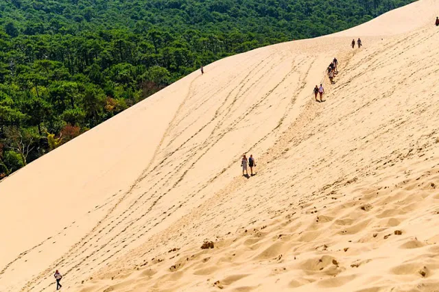 Dune du Pilat Visitar Bordéus