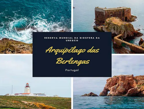 Visitar as Berlengas