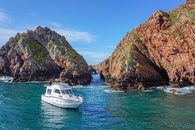 Visitar as Berlengas