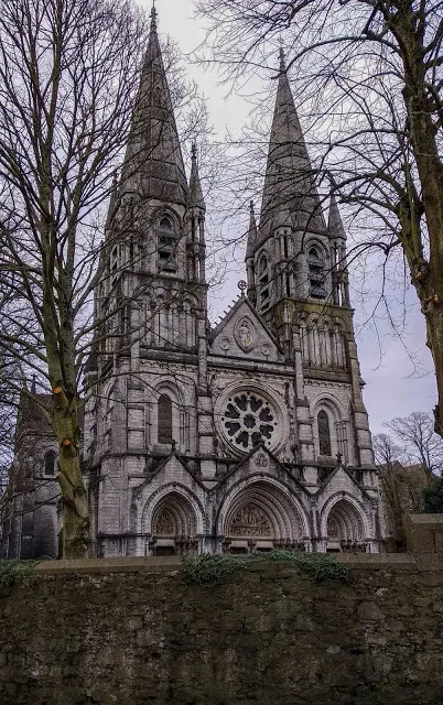 Catedral St. Fin Barre