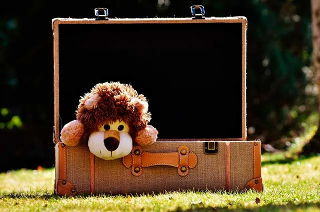 Mala de viagem