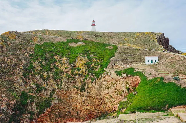 Visitar as Berlengas
