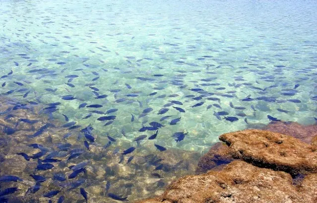 Porto Galinhas Roteiro de 7 dias em Pernambuco