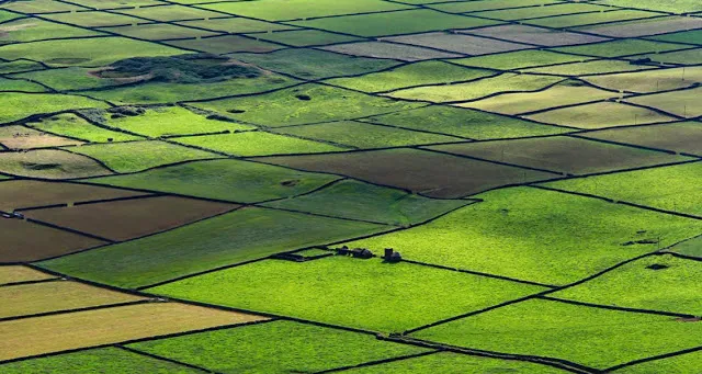 Serra do Cume
