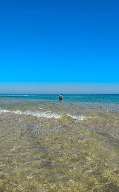 Ilha da Armona ilhas da Ria Formosa