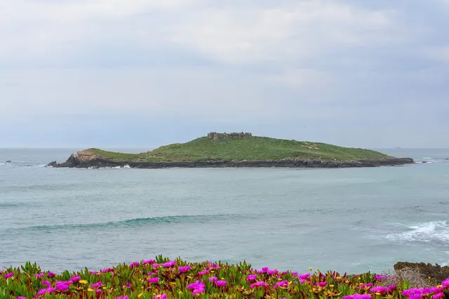 Ilha do Pessegueiro