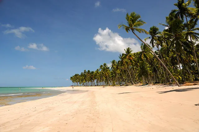 Praia dos Carneiros