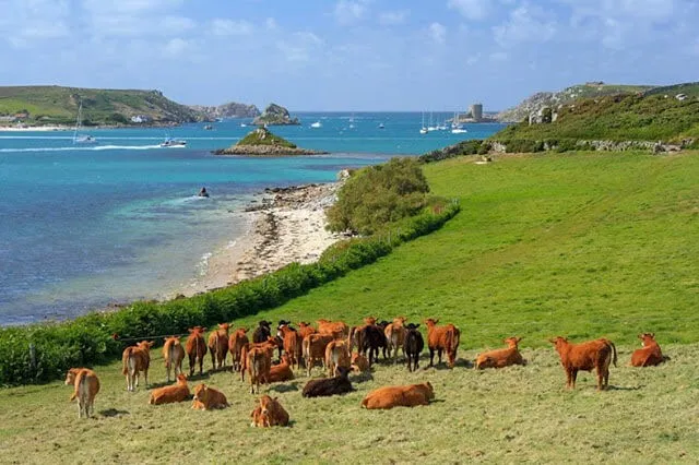 Ilhas Scilly viagem pela Cornualha