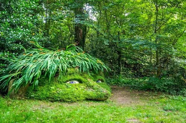 Lost Gardens Heligan viagem pela Cornualha