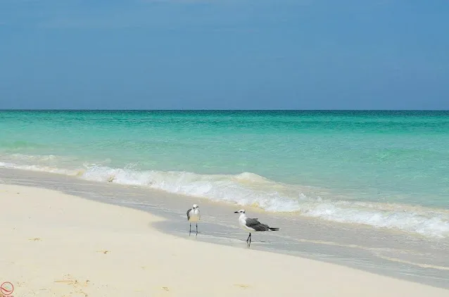 Cayo Santa Maria Cuba