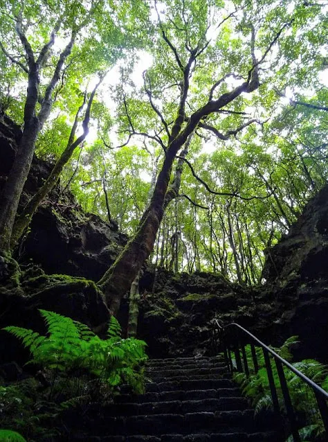 O que fazer e visitar na ilha do Pico Gruta