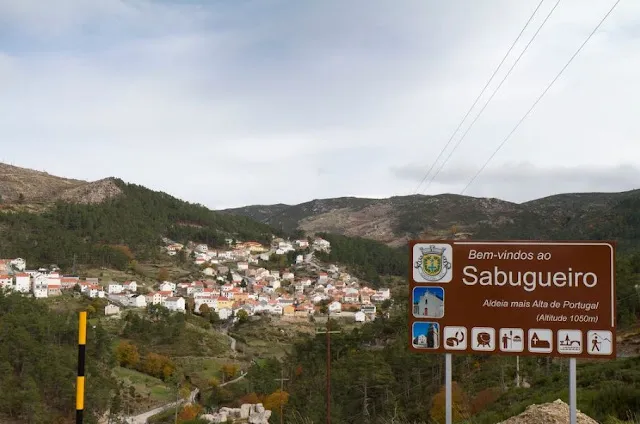 Sabugueiro