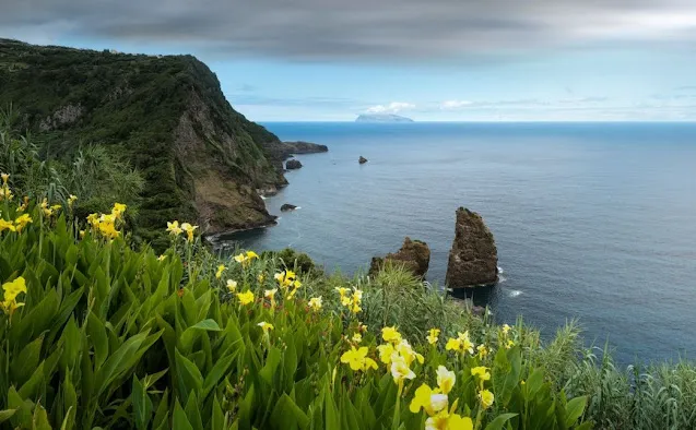 Baia Açores