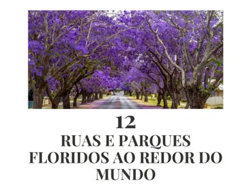 Ruas-parques-floridos