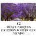 Ruas-parques-floridos