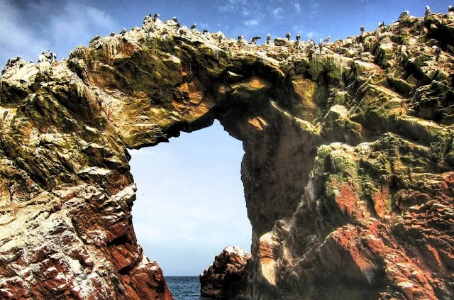 Roteiro pelo Peru Ballestas