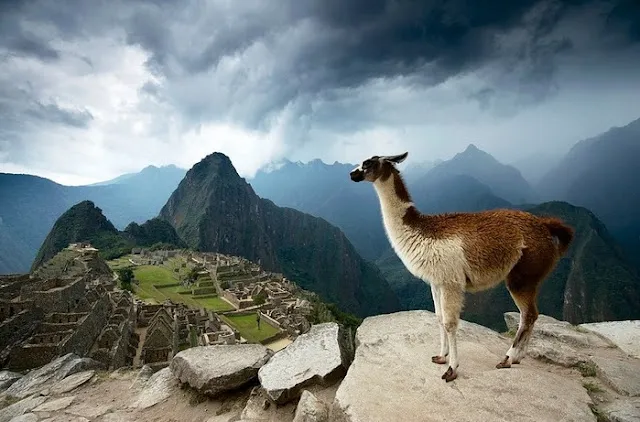 Macchu Picchu