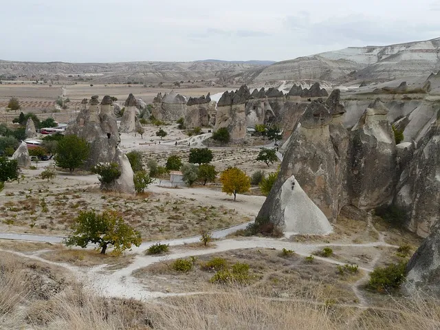 Rose Valley